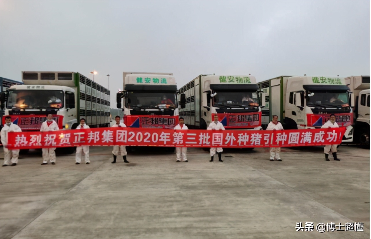 美国控制了中国养猪业吗,中国生猪被美国垄断吗