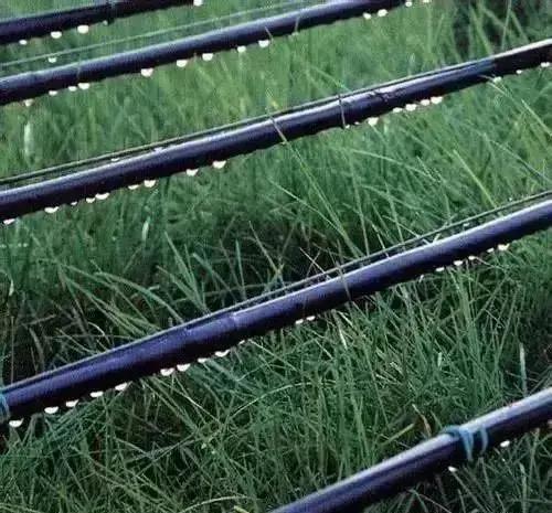 以色列水肥一体化,以色列高科技农业水肥一体化