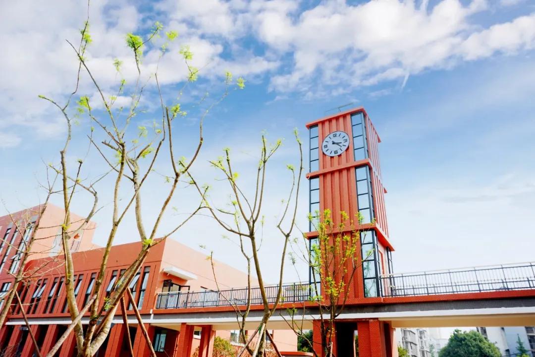 新都泰兴镇新建小学,新都新增小学