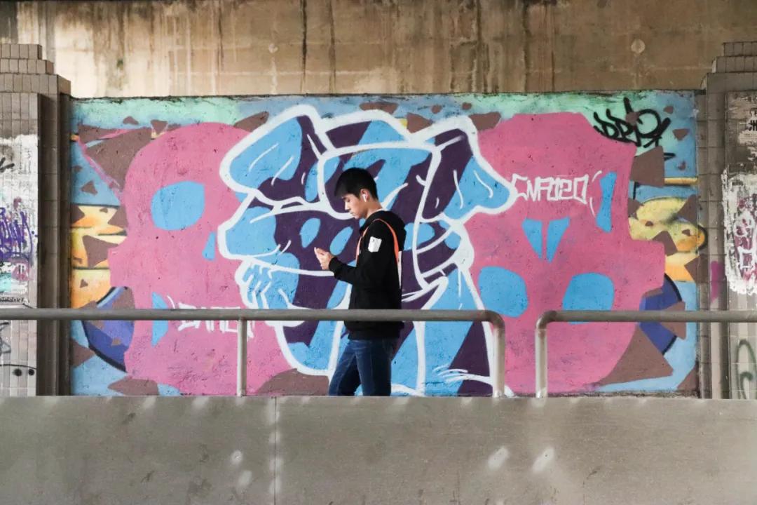 报考华南农业大学,华农报录比