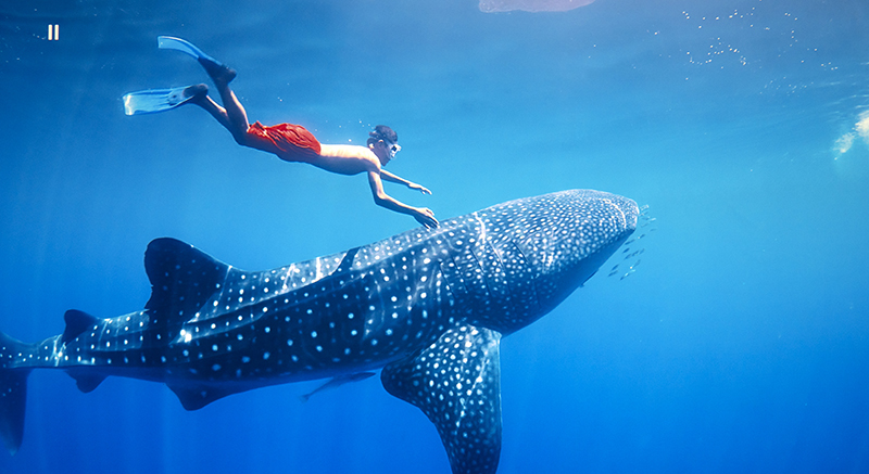 色彩好的1080p144hz显示器,色彩鲜艳显示器2k推荐