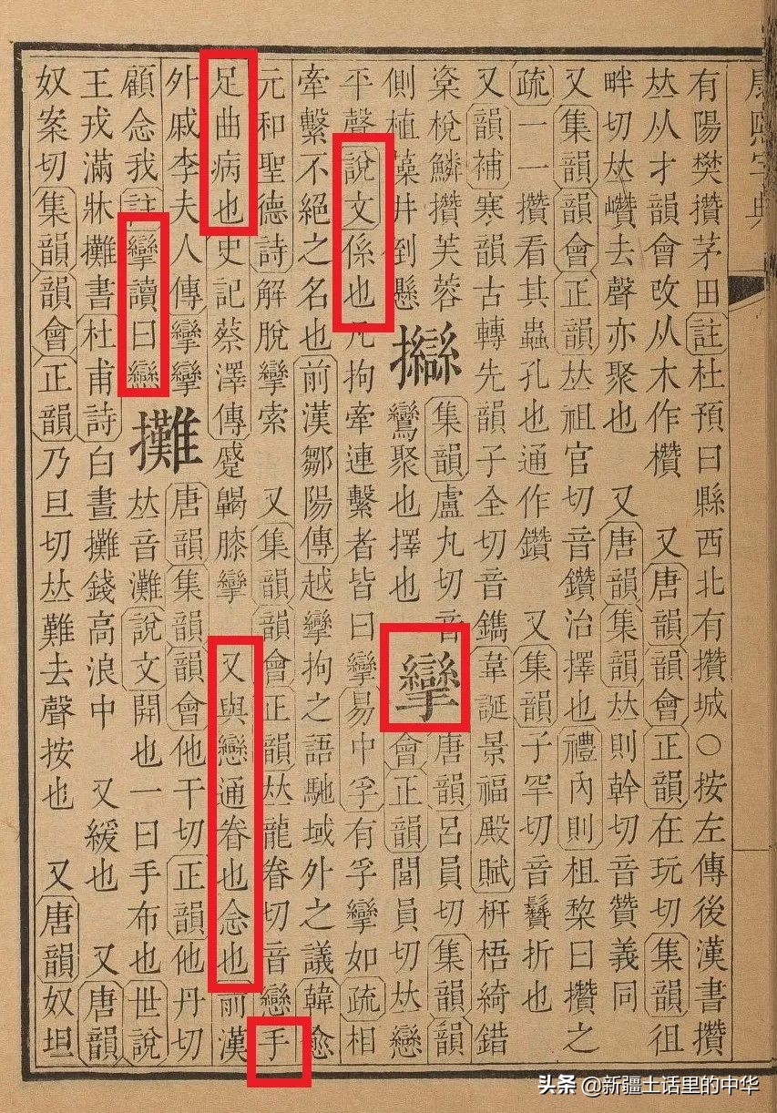 女人勤劳能干活,女性勤换内裤可以吗