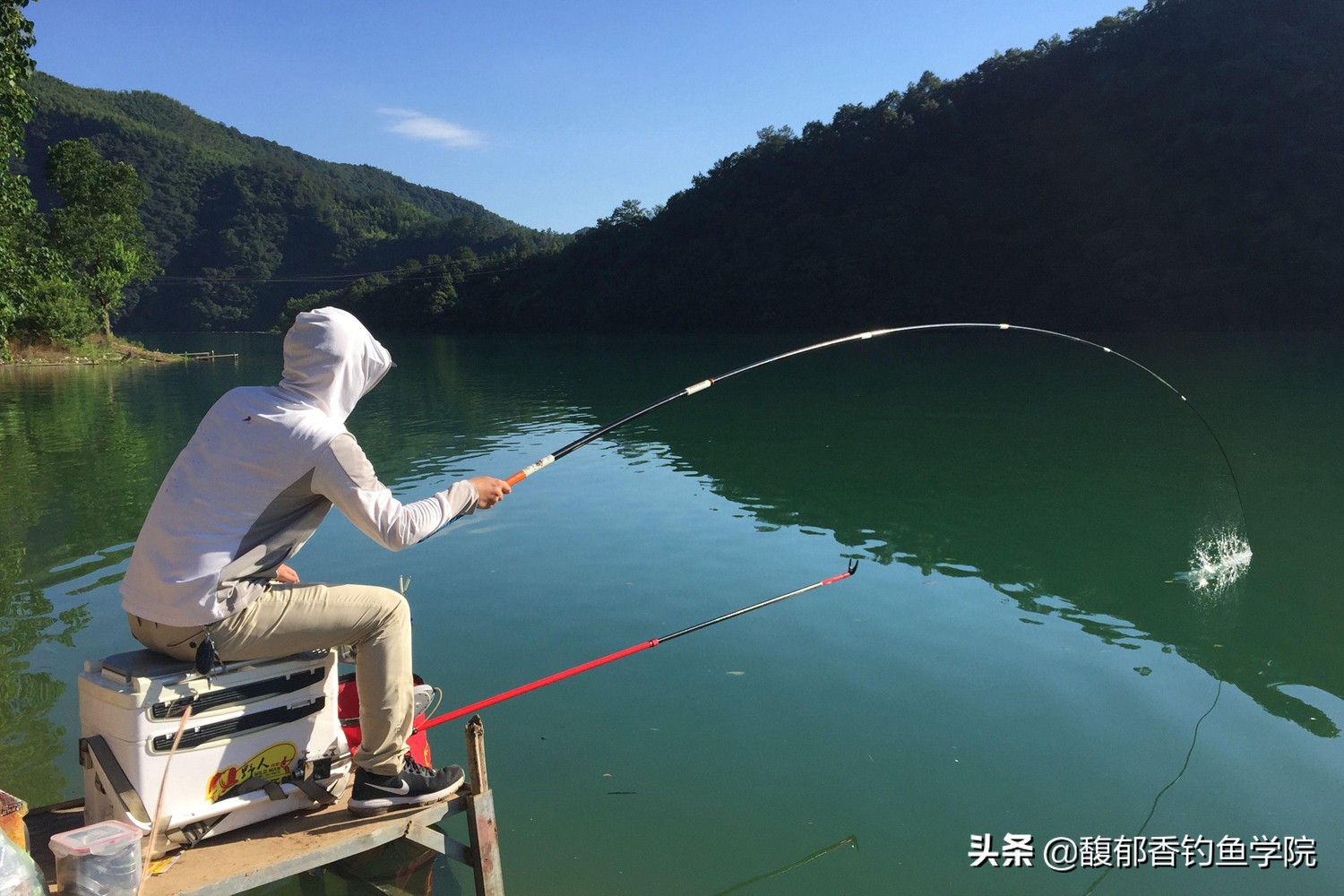 怎样钓鱼鱼才容易上钩,钓鱼的技巧怎样可以更快钓到鱼