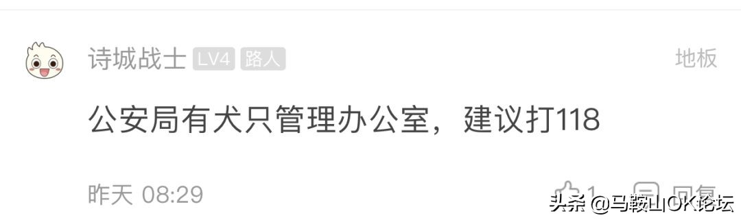 想不通！马鞍山这些‘垃圾人’还可以这么任性？