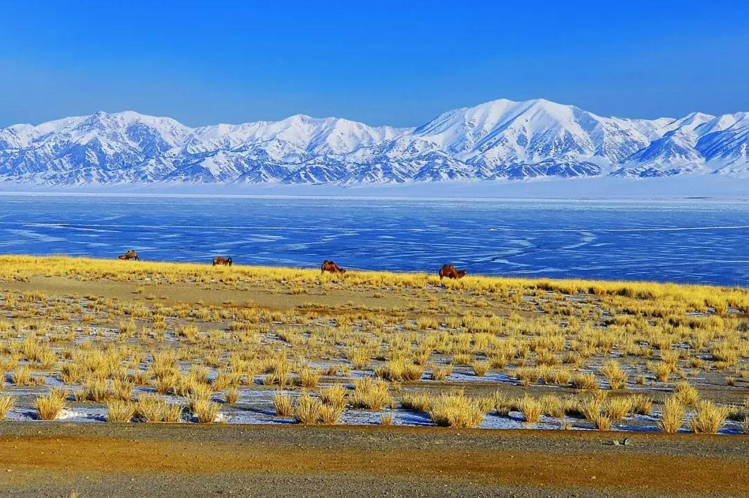 新疆的北疆和南疆哪个更美,北疆新疆之美