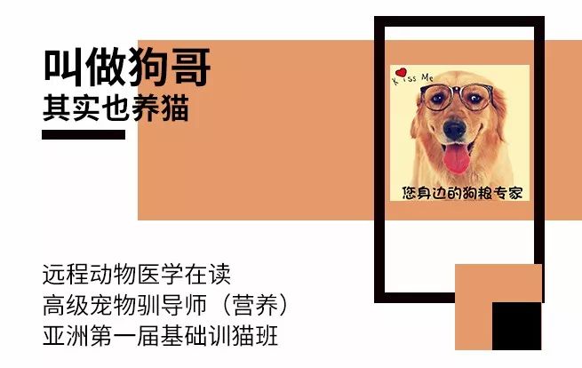 假洋品牌宠物食品,假进口宠物零食