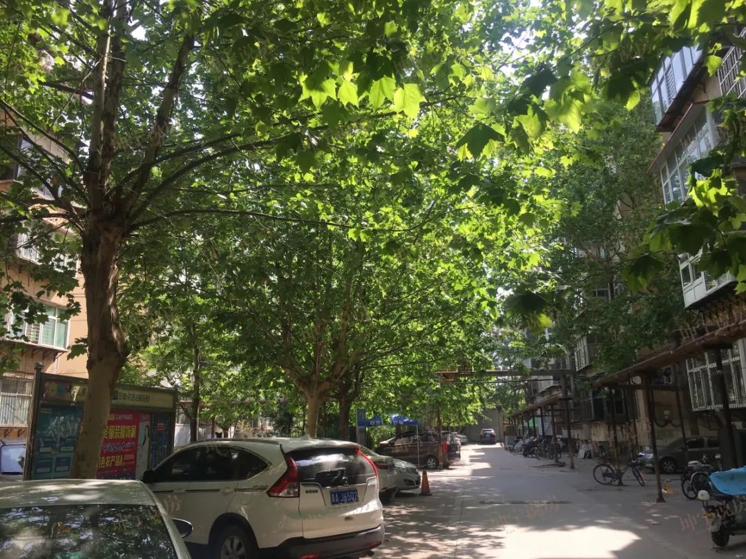 实探学区房,实探一线学区房