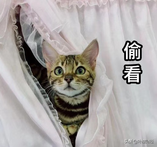 叶檀股市,叶檀谈茅台股市