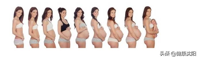 健康科普产后修复,盆底科普健康宣教小视频