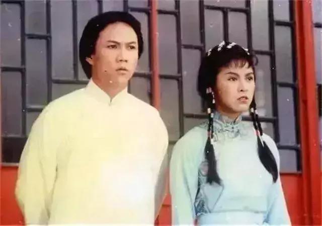 甄子丹香港武打电视剧大全,甄子丹电视剧经典武打片大全