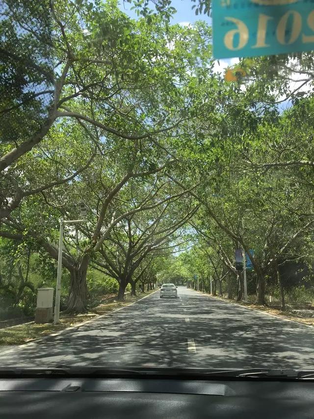 海南三亚旅游攻略三日游,海南三亚三日自由游