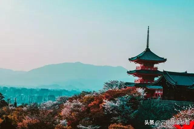 中医药常用术语,这些医疗用语你读对了吗