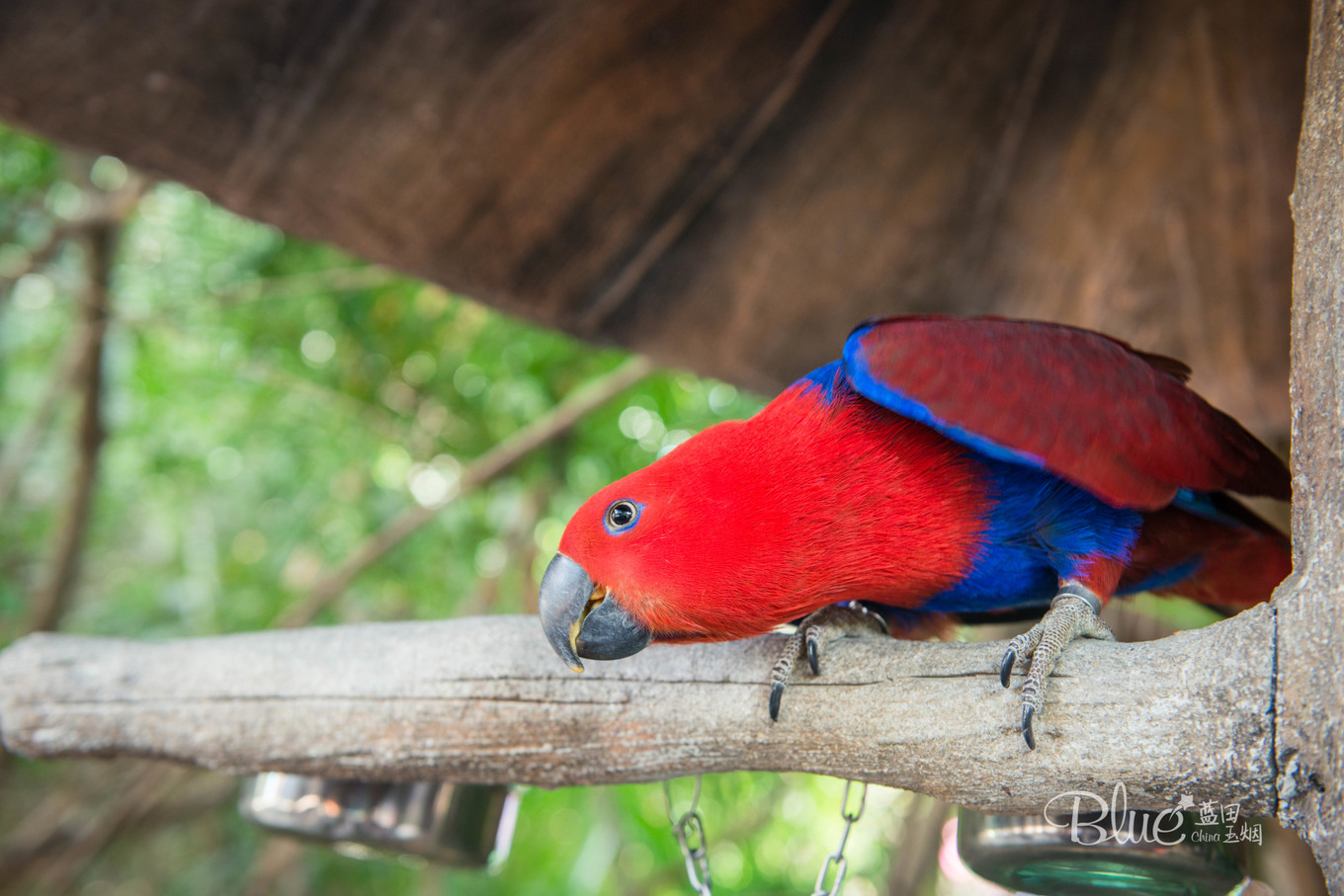 三亚千古情景区每天人流,三亚千古情每天都有表演吗