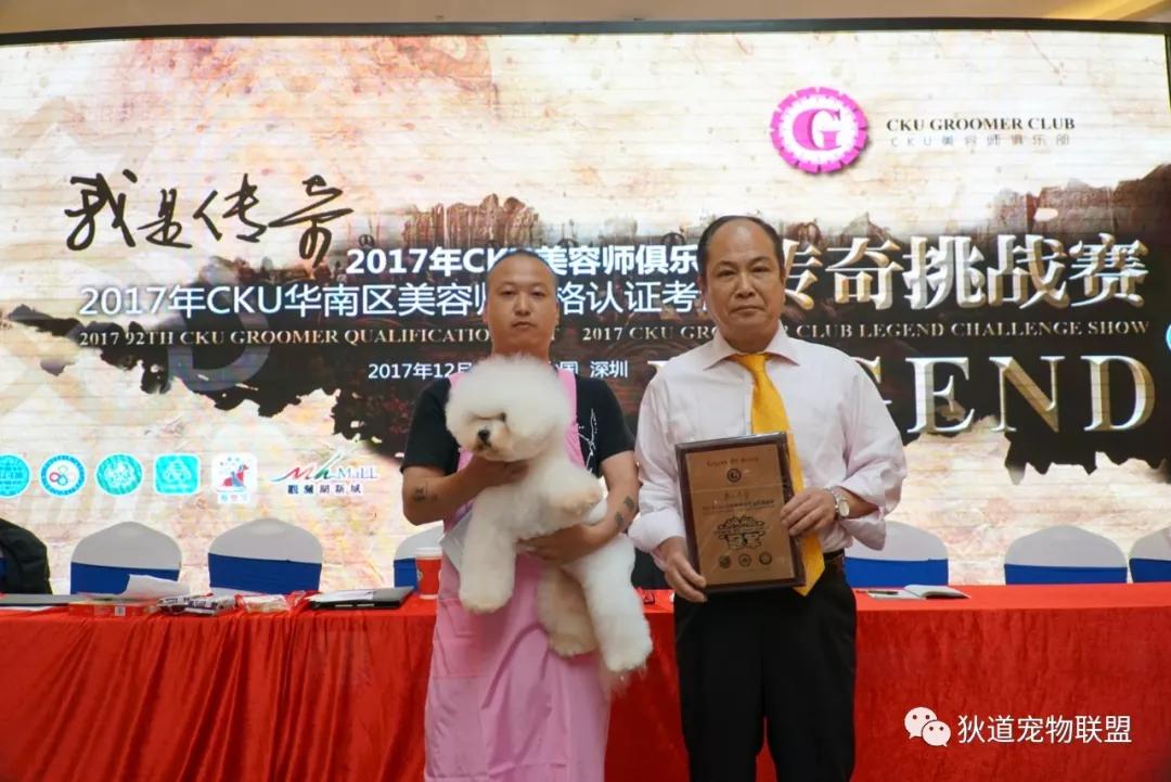 深圳宠物美容培训学校排名,壹择宠物美容培训学校