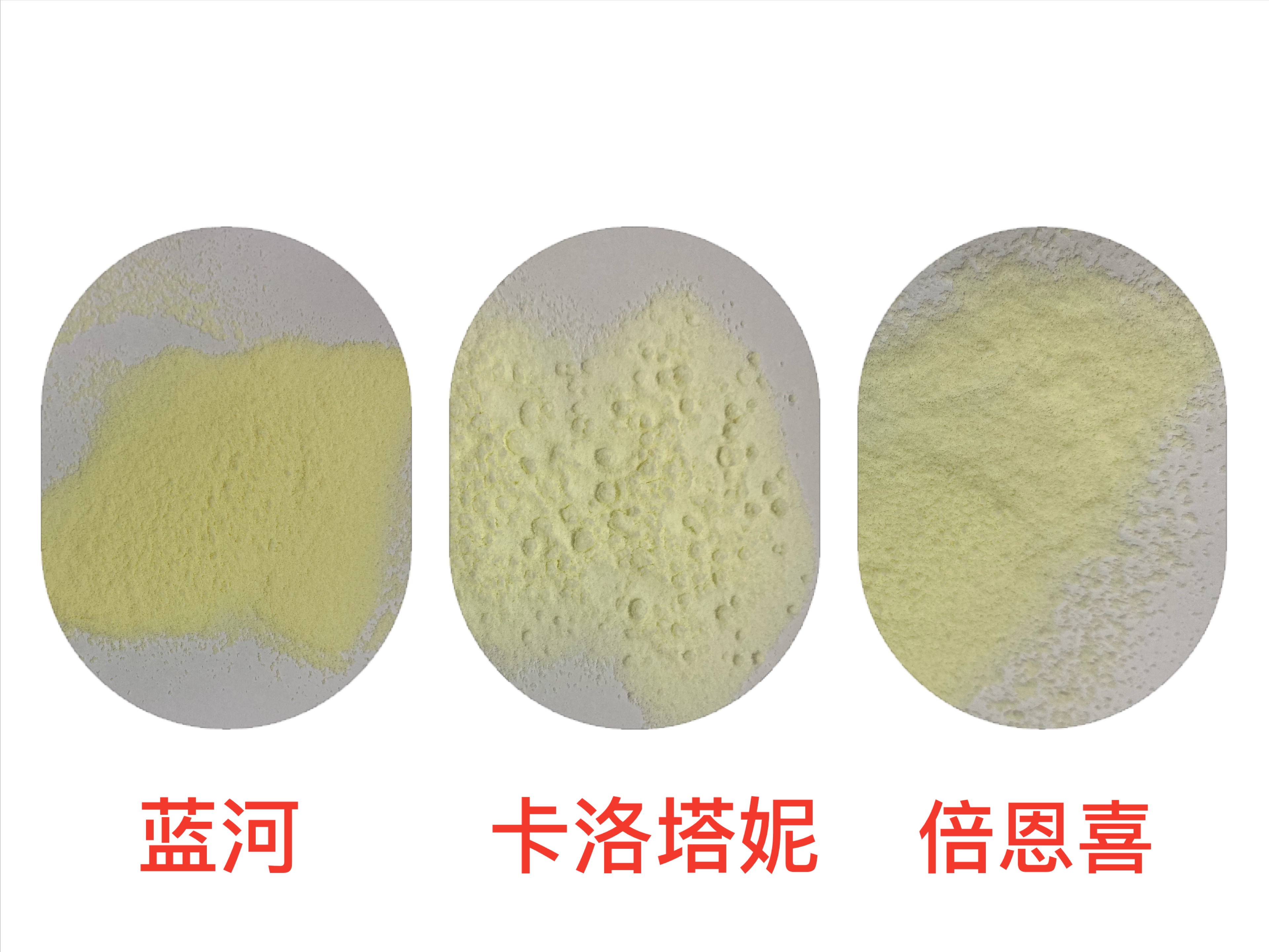 新西兰进口的羊奶粉,新西兰进口老年羊奶粉