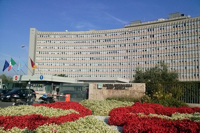 700多年历史的罗马大学，古典学与古代史专业世界排名第1