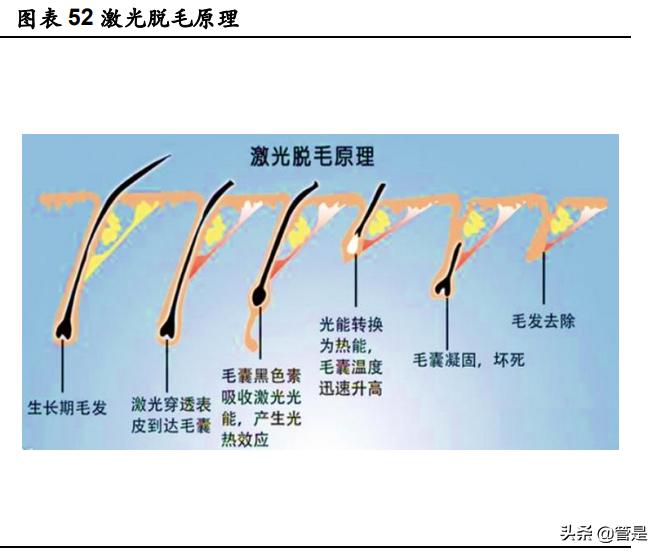 华东医药股份有限公司医美板块,华东医药医美产品在审有哪些品种