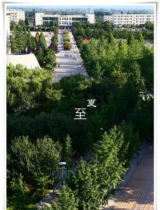 颜值爆表！28万平绿地，55%绿化率，来看西安这所园林式高校