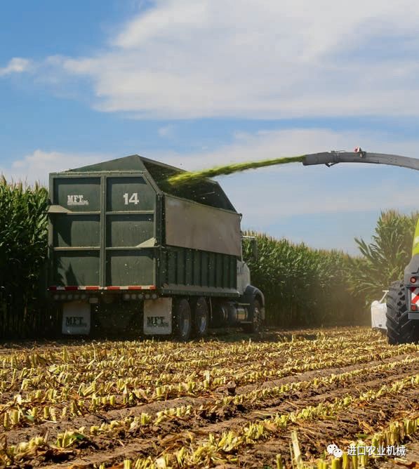 详解CLAASJAGUAR玉米粉碎器德版