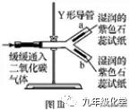 第十单元酸和碱复习,第十单元酸和碱知识点