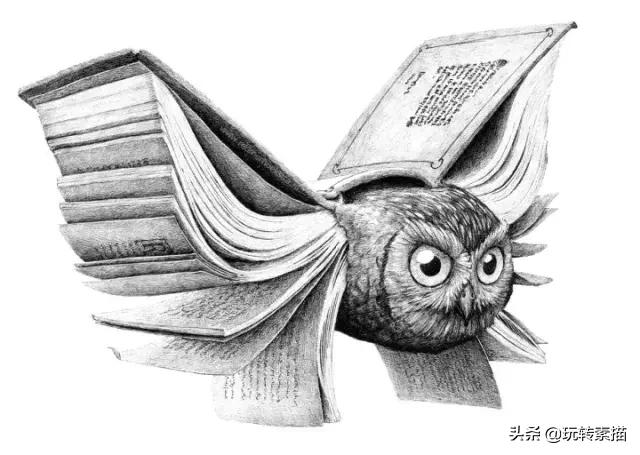小清新素描黑白插画,看似抽象实则写实的画