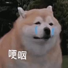 母胎solo19年什么时候可以脱单,母胎solo女怎么能快速脱单