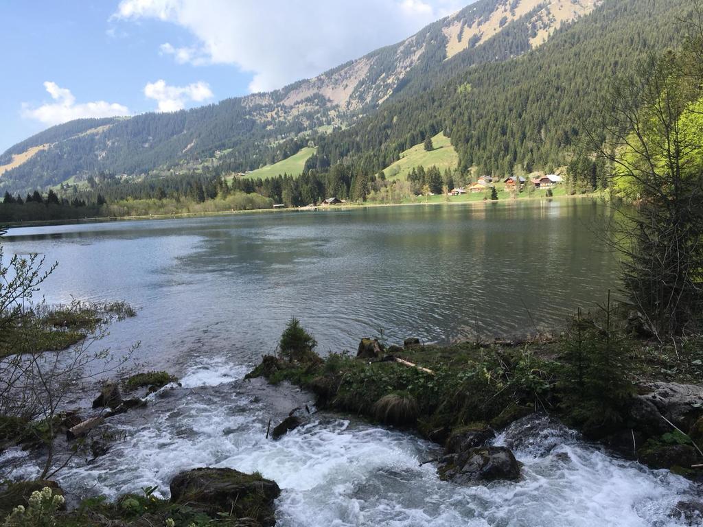 法国奶酪有哪几种,法国有红色外壳的奶酪