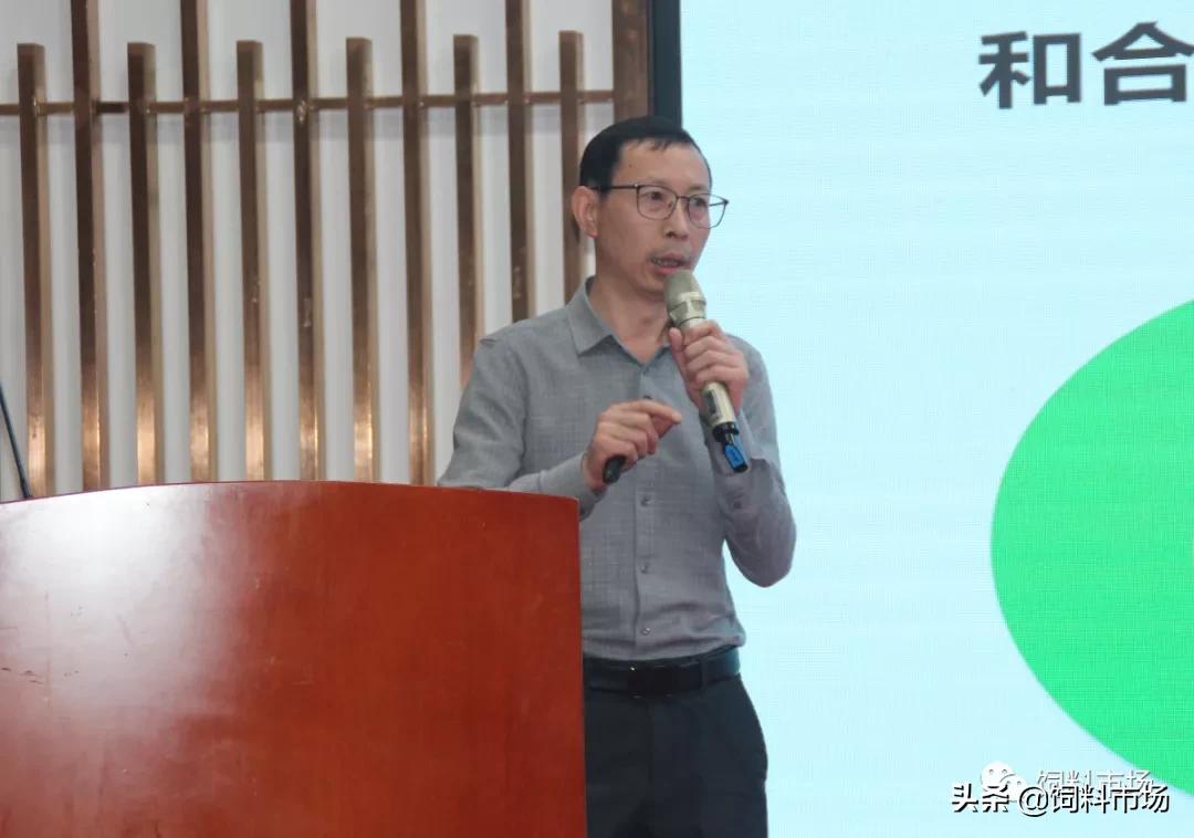 山东活力集团青岛,活力集团新品发布会