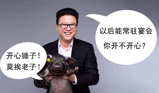 喜迎网易本命年？曾被11万抢拍的网红猪肉，这次将壕送100斤！