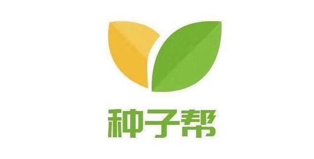 紫云英花色淡紫，看起来不仅仅是漂亮，更重要的是它有很多的作用