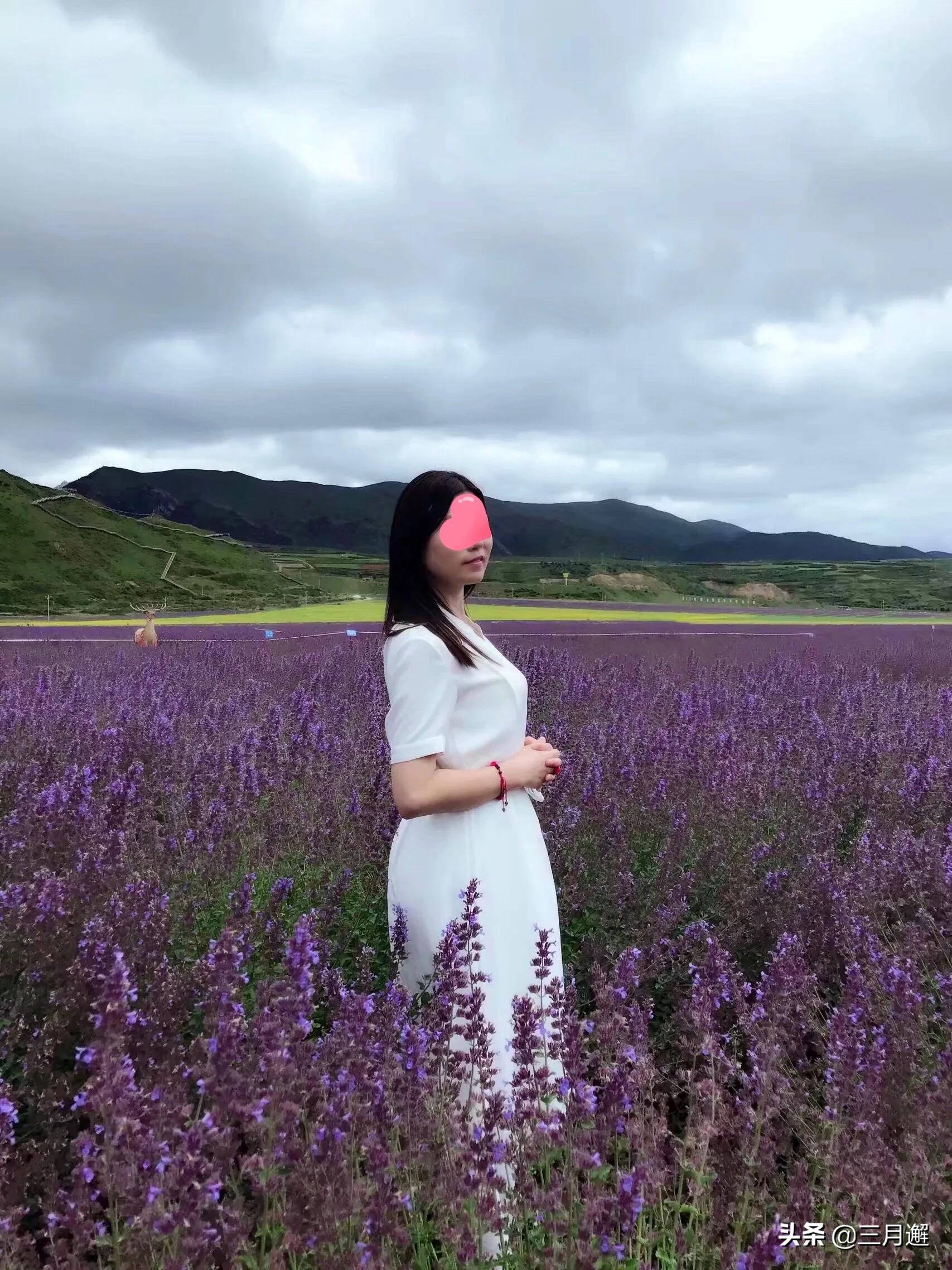 美丽松潘历史文化,美丽松潘简谱