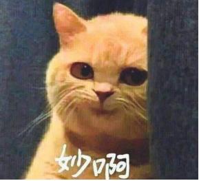 大司马复播心路历程,大司马复播套路