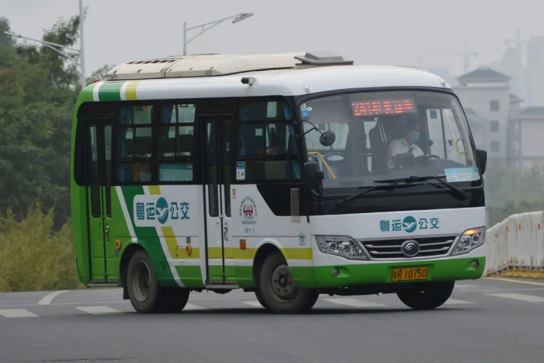 广东最美大专院校,广东最没存在感的大专院校