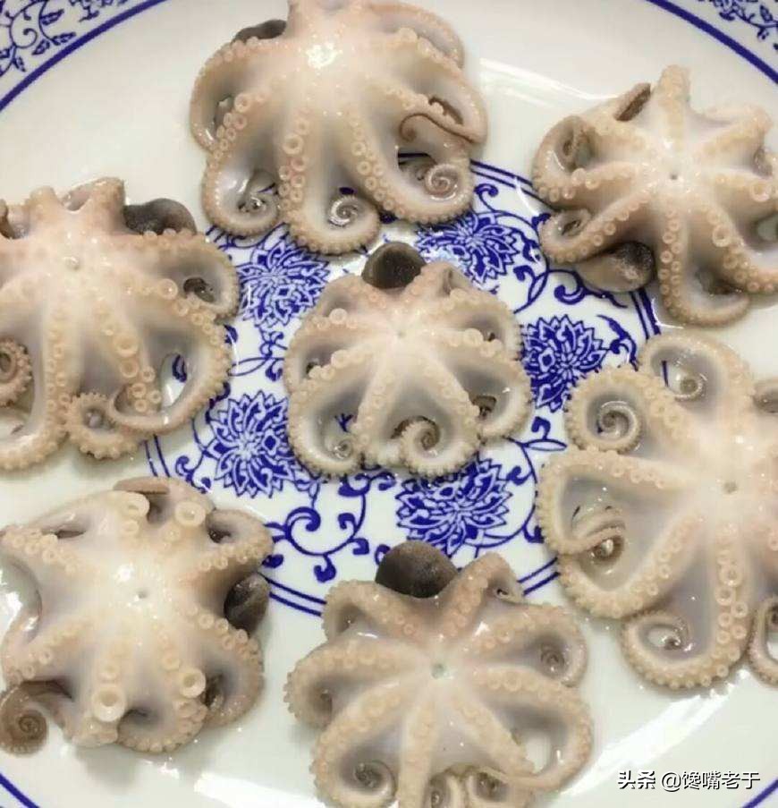 八爪鱼越煮越硬吗,八爪鱼要怎么做才不会缩水严重