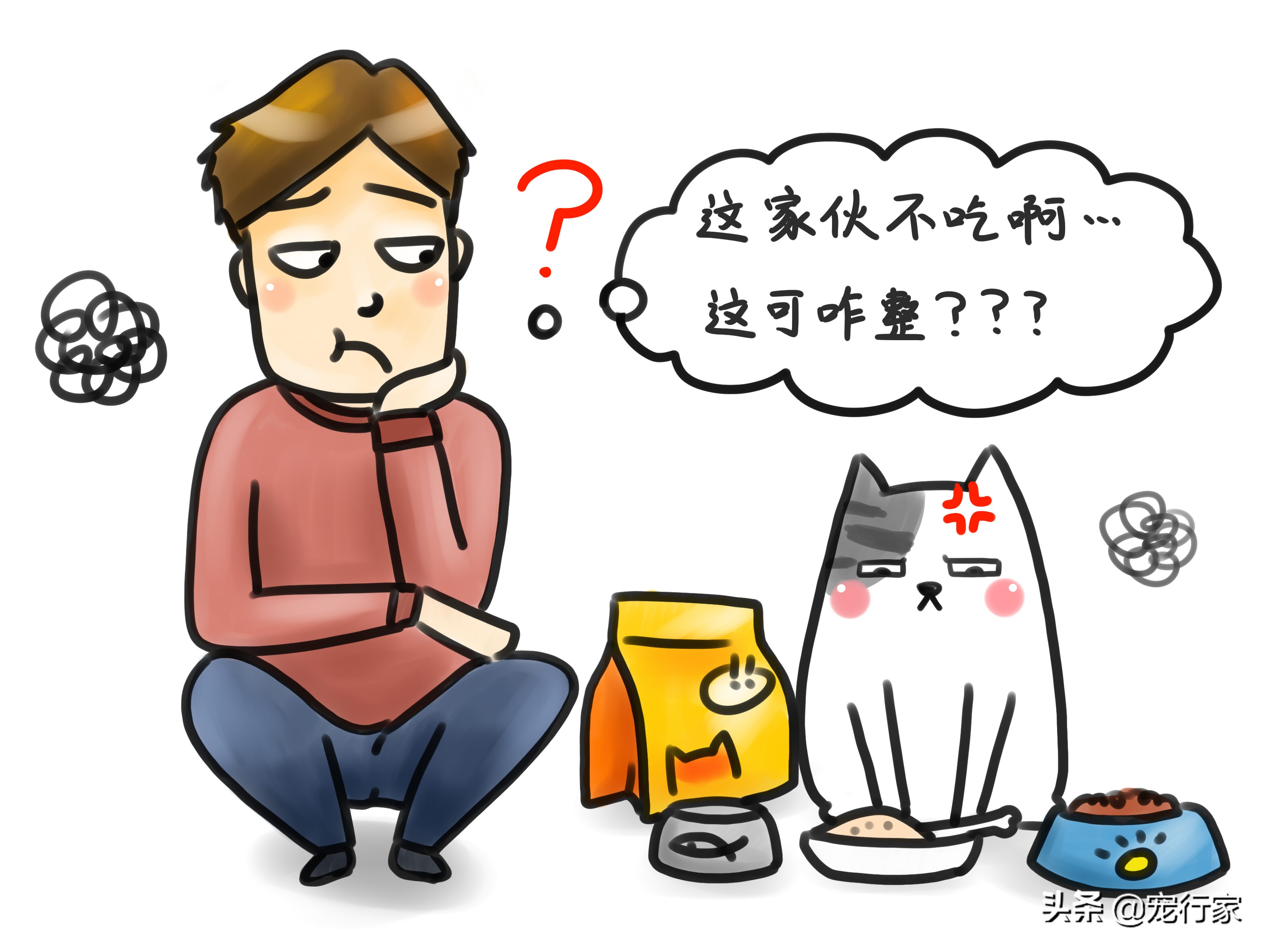 猫咪闹不听话,猫咪吃零食不吃粮了怎么办