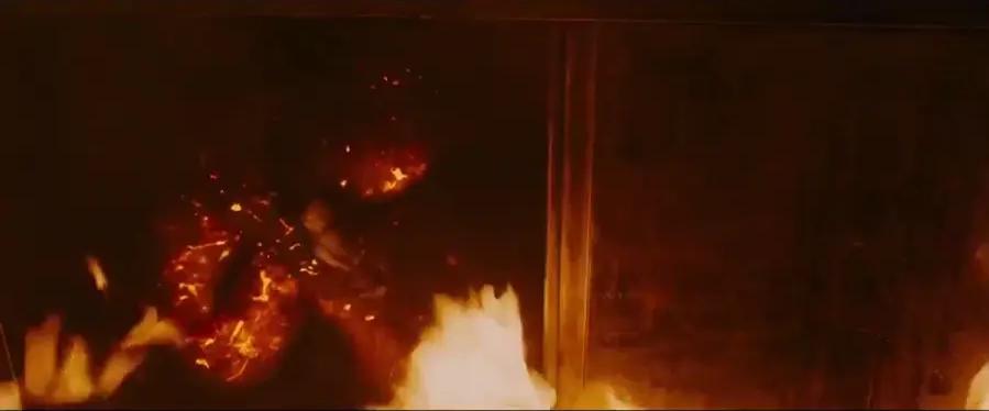 全裸出镜？*伦乱**产子？全程马赛克才能播的戛纳金棕榈