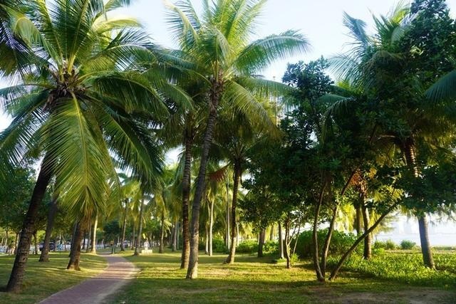 海南三亚旅游去哪里购物好点呢,海南旅游购物攻略最新