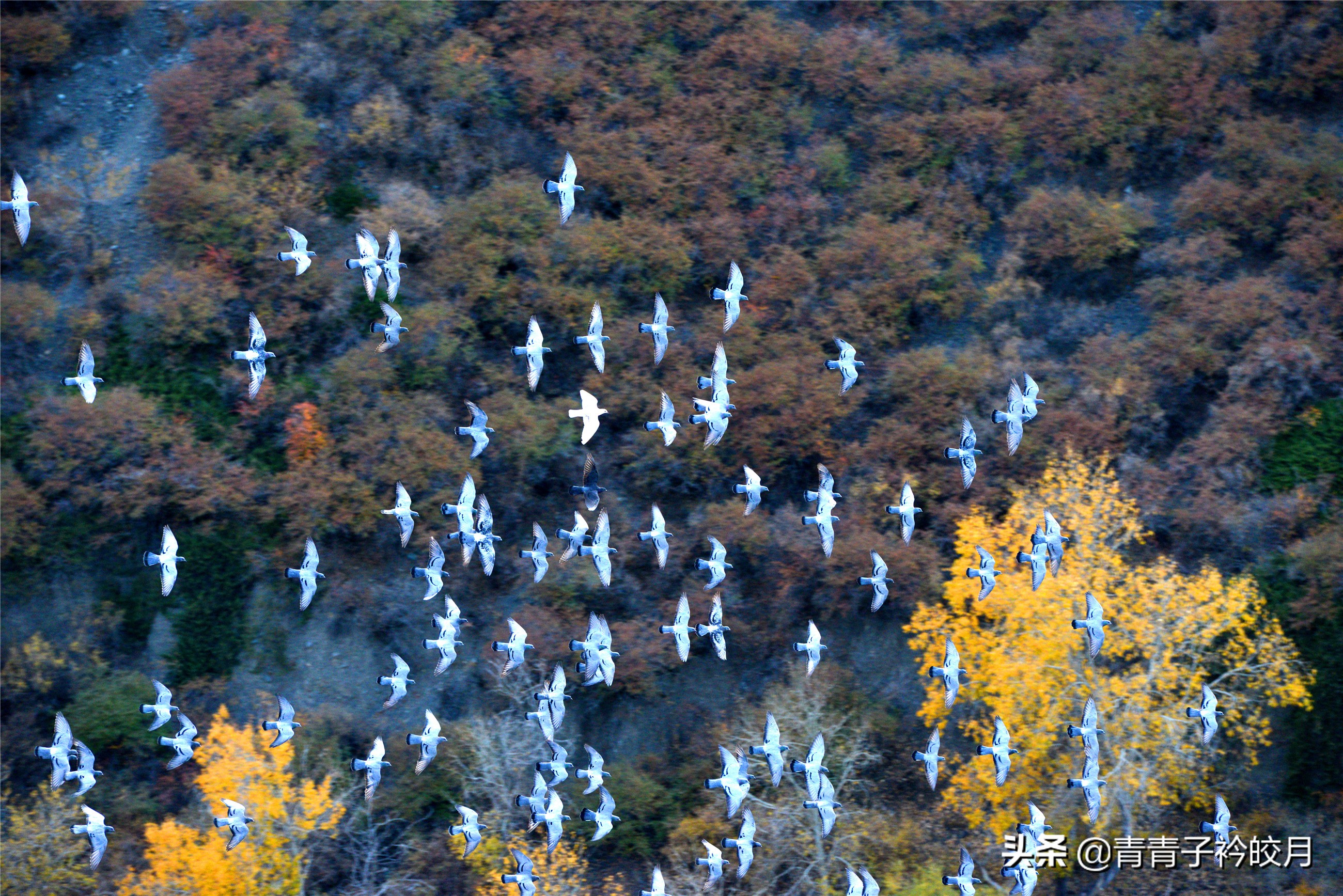 新疆的十大峡谷景点排名,新疆值得玩的大峡谷