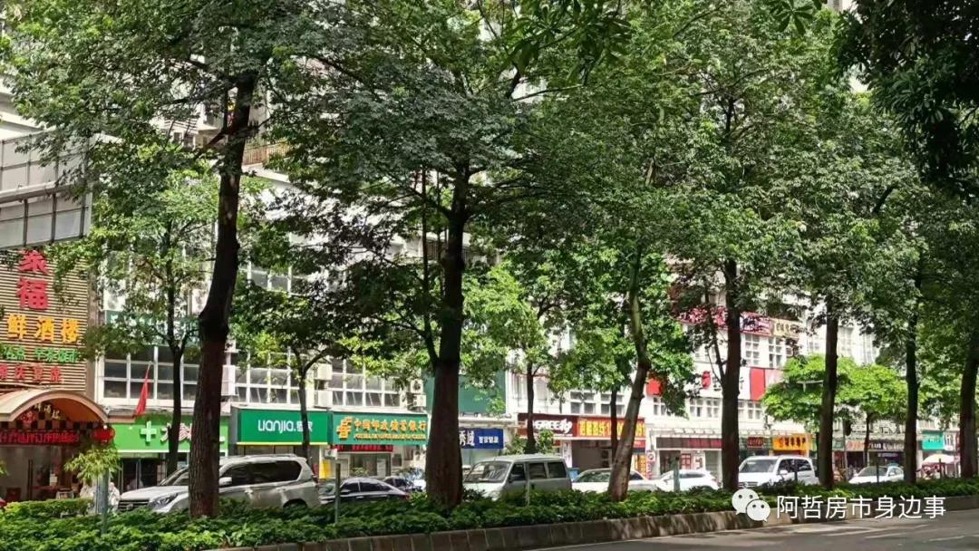海珠区翠城花园站,海珠西板块翠城花园