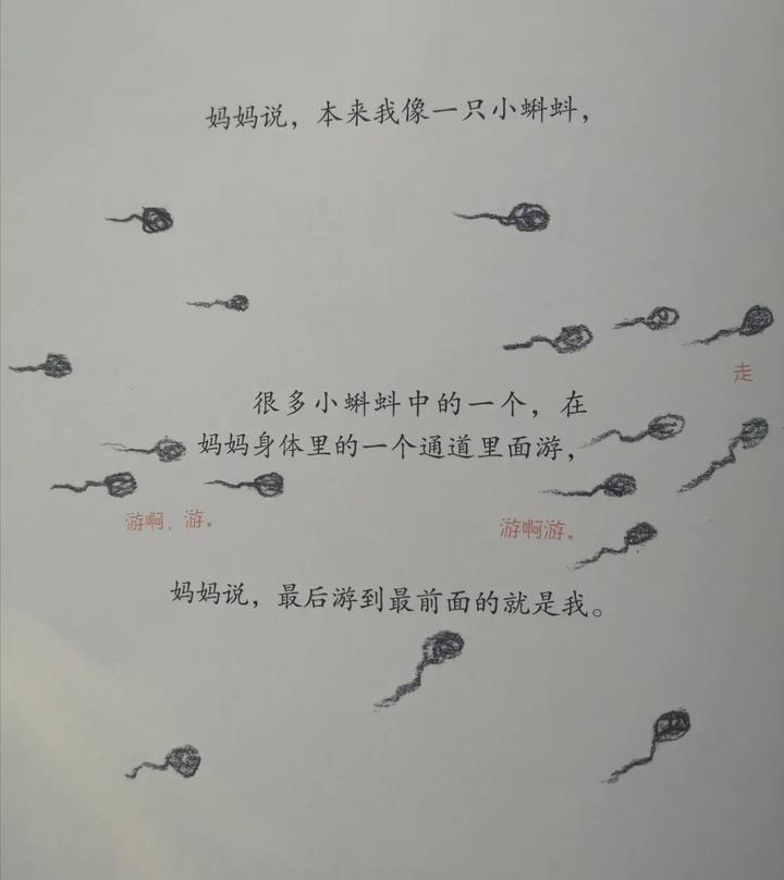给孩子谈生死的绘本,生命教育怎么教100本绘本告诉你