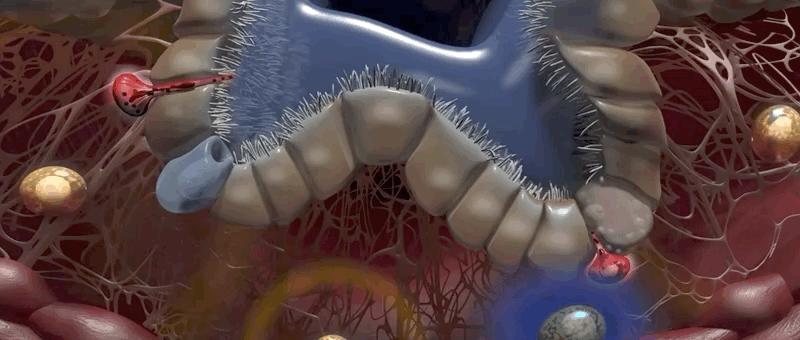 哮喘的发病原理,哮喘科普文章作品简介