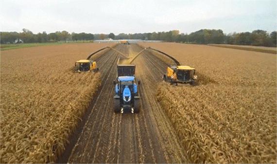 双11不看价格买手机,双十一看剧不剁手