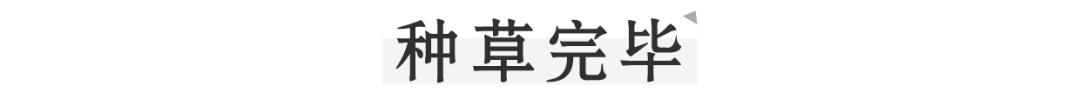 拯救黑黄皮,拯救黑皮的口红