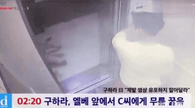 我的生命不是你的色情片