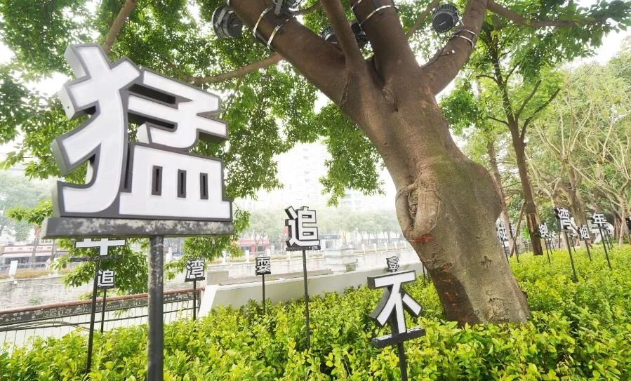 成华头条|剃头匠吴师傅的“烦恼”不见了