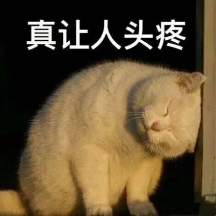 进口猫粮都掺假卖在哪买靠谱,假冒进口猫粮品牌