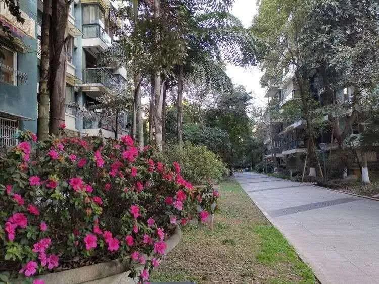 尚东国际小区物业,灵璧尚东国际安置房物业电话