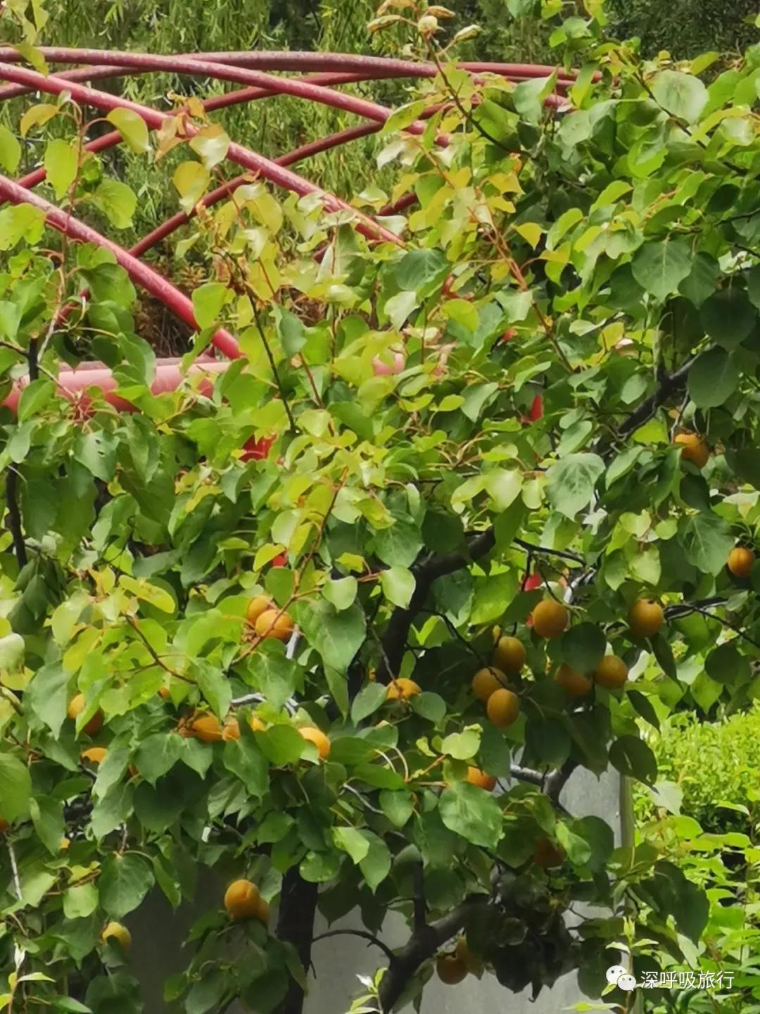 京西小九寨百瀑谷,京西双龙峡小火车图片