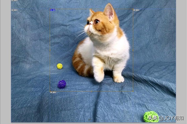 photoshop怎么移动切片,photoshop切片选择工具