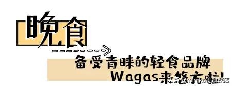 鍙彛鍙箰涓栫晫娓哥帺,鍙彛鍙箰鏈潵涓栫晫涔愬洯